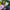 Tablet Apple Mauve 11