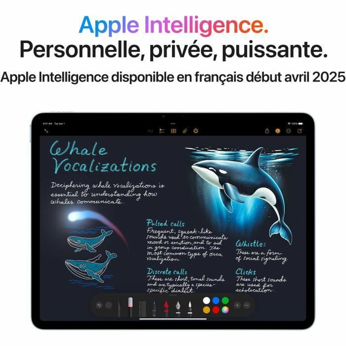 Tablet Apple Mauve 11" M3 8 GB RAM 1 TB-tecwheels