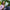 Tablet Apple Mauve 11